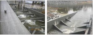 Alameda Creek fish ladder